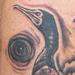 tattoo galleries/ - Black & Grey Birds - 62380